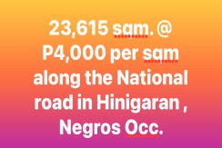 23,615 sqm along the National highway In Hinigaran, Negros Occ.